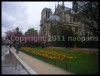imagebam.com