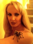 imagebam.com
