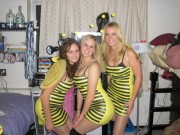 imagebam.com