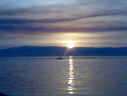 2ee00313960184.gif