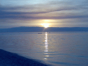 33017813960182.gif