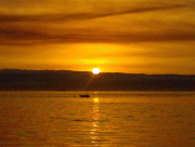 419b9513960183.gif
