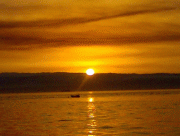 598e3413960179.gif