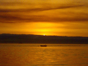 636a4a13960174.gif