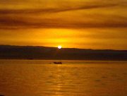 69e68d13960181.gif