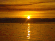 93e72b13960170.gif