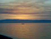 c8029b13960165.gif