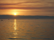 cc62ca13960176.gif