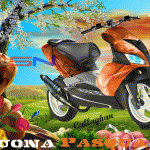 Immagine inserita