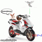 Immagine inserita
