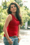 Hot Telugu Actress Archana/Veda Gallery