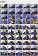 free image host
