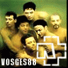 http://thumbnails11.imagebam.com/4242/f225b342419436.gif