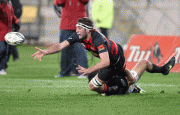 2bbe0e47086825.gif