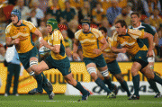 04613c47911366.gif