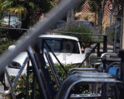 9d6e1d55366974.gif