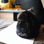 Forum Image: http://thumbnails11.imagebam.com/8306/9a91ce83057151.gif